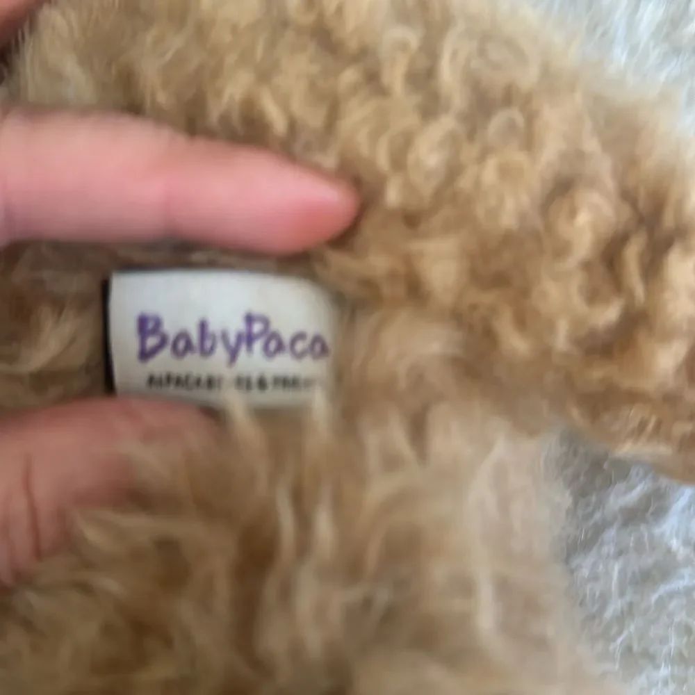 Baby paca  monkey (7003) - Picture 4 of 5